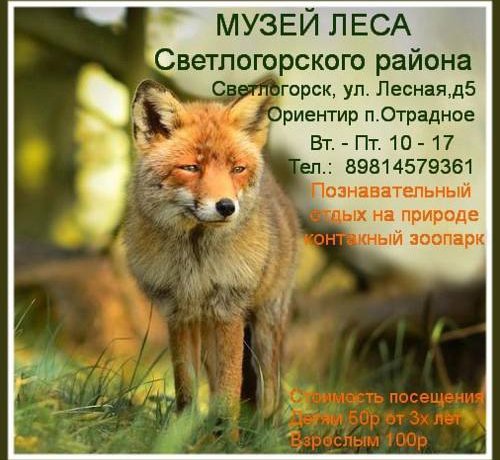 Гостевой дом Просто Светлогорск